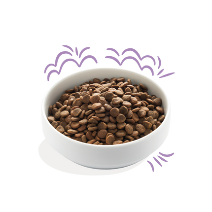 AnimalstoreXL Edgard & Cooper Brok Puppy Zalm & Scharrelkalkoen Graanvrij