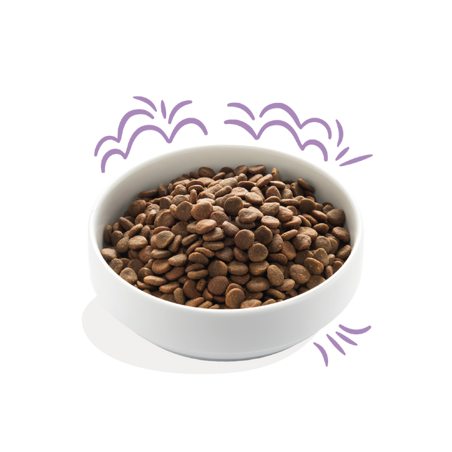 AnimalstoreXL Edgard & Cooper Brok Puppy Zalm & Scharrelkalkoen Graanvrij