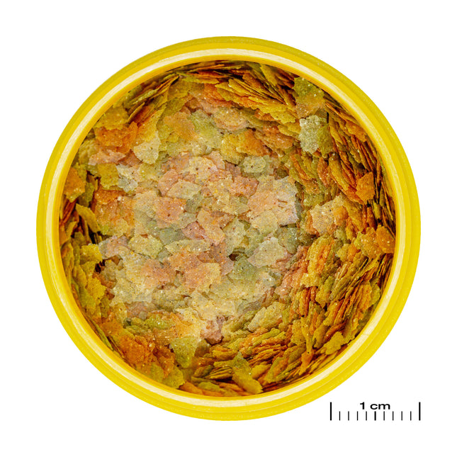 AnimalstoreXL Pronovo Betta Flakes S 100ml