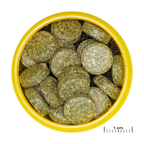 AnimalstoreXL Pronovo Botia Tab M 5,5L