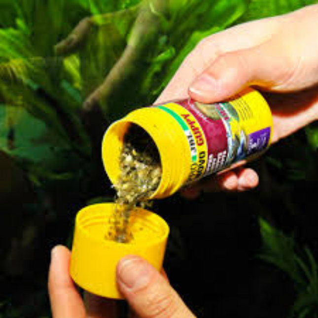 Pronovo Guppy Flocken S 100ml