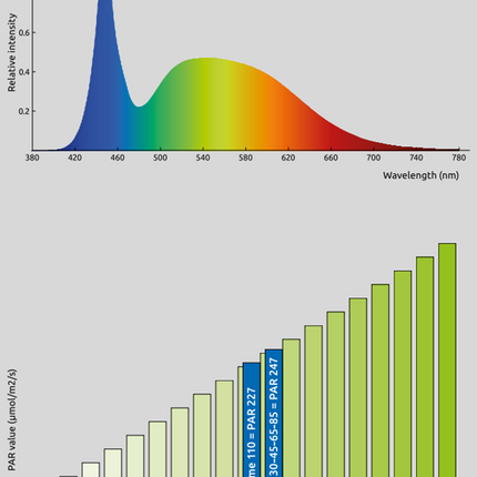 AnimalstoreXL Qubiq 60 Pro Zwart