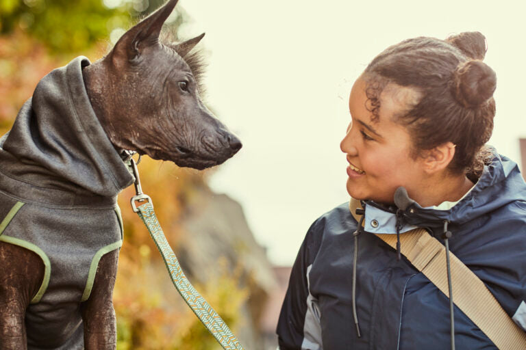 AnimalstoreXL Razz Daz Midlayer Jacket Bkb 25cm 934027