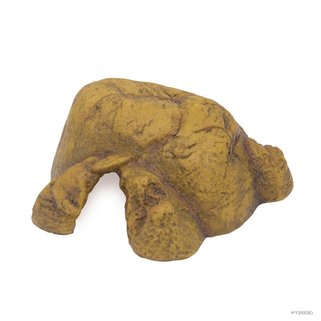 AnimalstoreXL Reptielengrot M