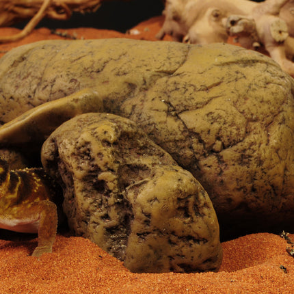 AnimalstoreXL Reptielengrot XL