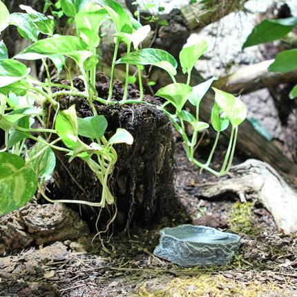 AnimalstoreXL ReptilBar Grijs S Waterschaal