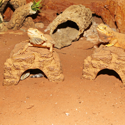 AnimalstoreXL ReptilBar Zand S Waterschaal