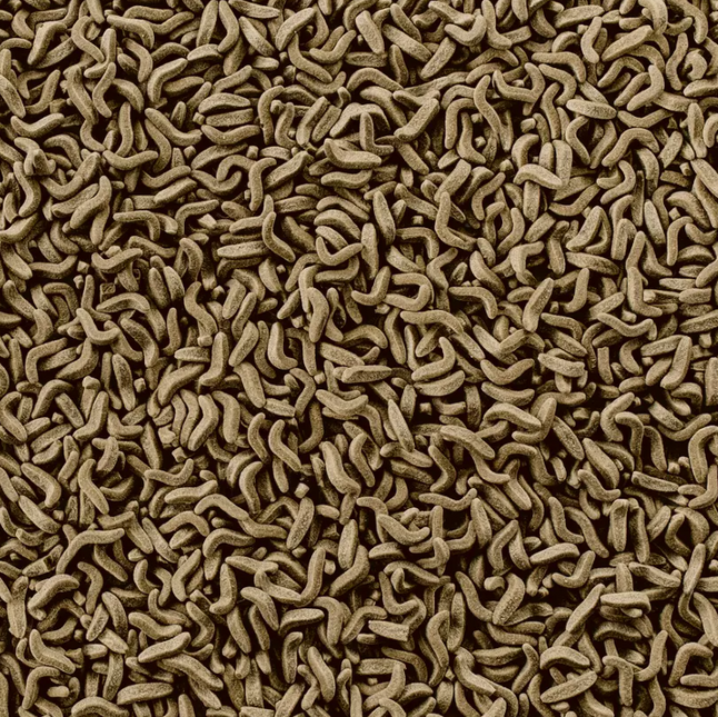 AnimalstoreXL Reptomin Turtle 250ml