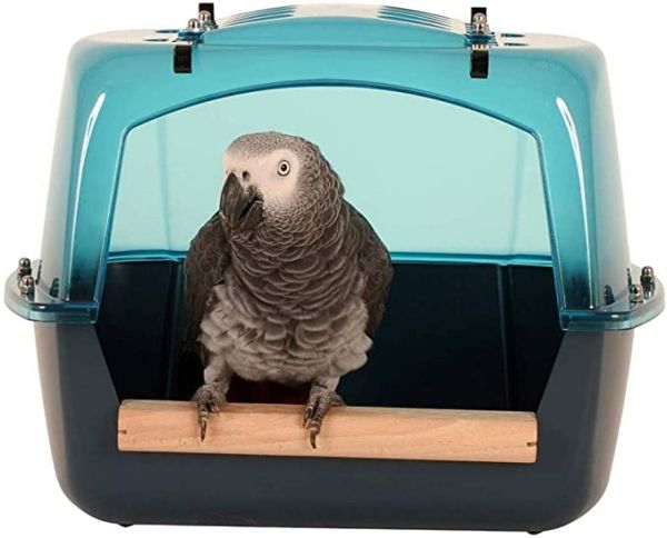 AnimalstoreXL Savic Badhuis Papegaai Splash Giant xL Blauw