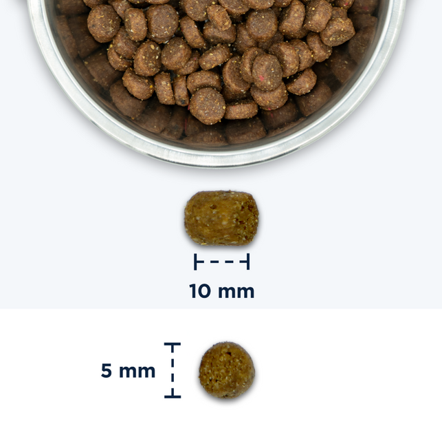 Eukanuba Kattenbrokken Volwassen Verse Kip 2kg