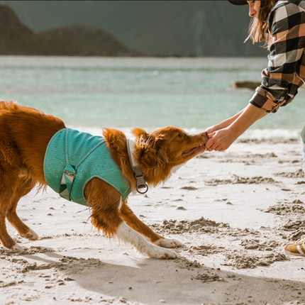 Hurtta Kühlweste Hund – Kühlwickel Aquamarin