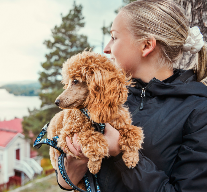 AnimalstoreXL Leash Stand.Raz Dz Blkb 1.5/180cm 933959