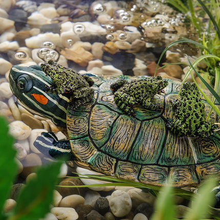 AnimalstoreXL Schildpad Schildpadeiland
