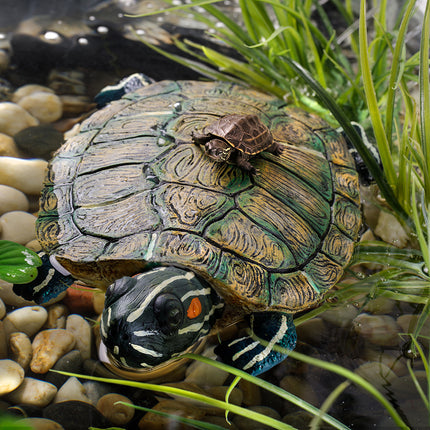 AnimalstoreXL Schildpad Schildpadeiland