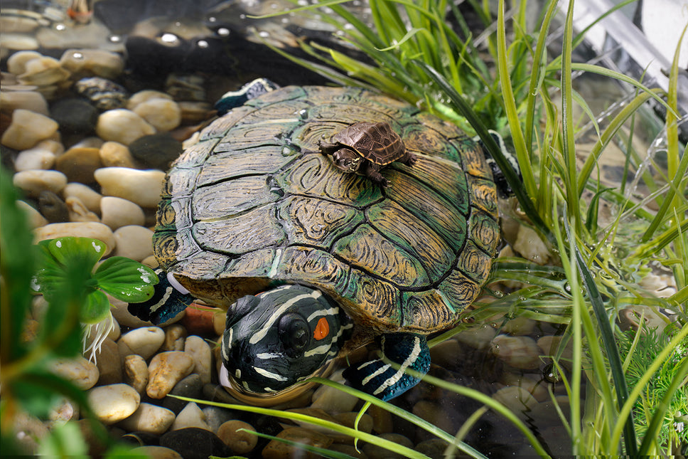 AnimalstoreXL Schildpad Schildpadeiland