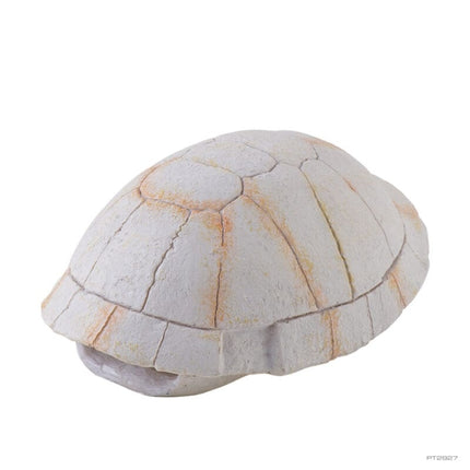 AnimalstoreXL Schildpadskelet