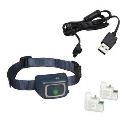 Petsafe Antibellband mit Spray