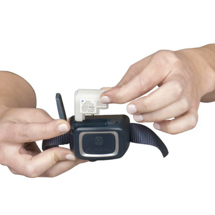 Petsafe Antibellband mit Spray