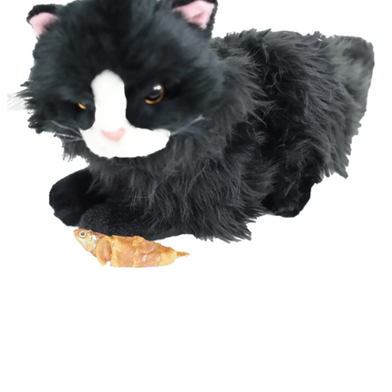 Ansjovis mit getrocknetem Huhn 100g