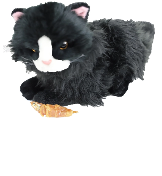 Ansjovis mit getrocknetem Huhn 100g