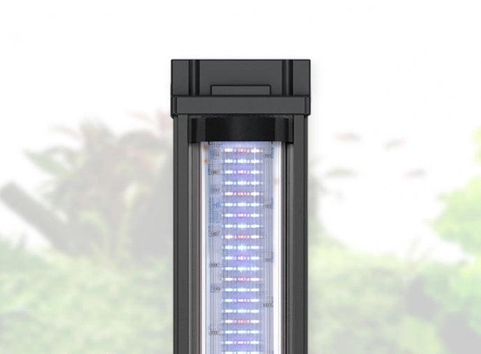 AnimalstoreXL Set Volga 200 Wit-025