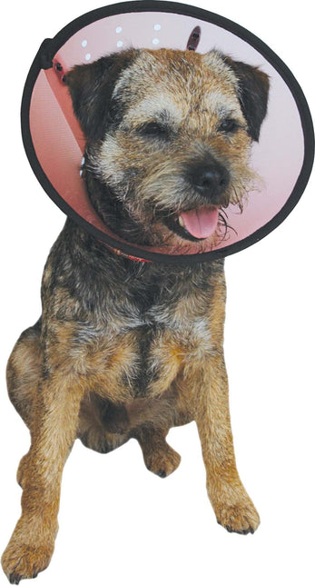 AnimalstoreXL Smart Collar Kraag Plastic Hond Nr 2 23-30cm