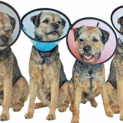 AnimalstoreXL Smart Collar Kraag Plastic Hond Nr 1 18-24cm