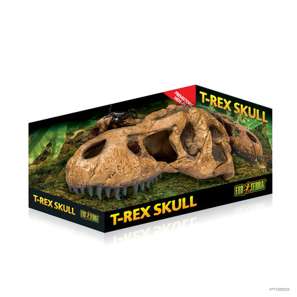 AnimalstoreXL T-Rex Schedel 23x10x9cm