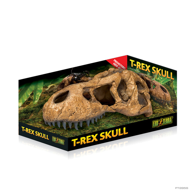 AnimalstoreXL T-Rex Schedel 23x10x9cm