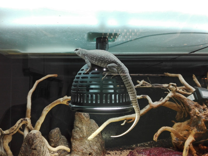 AnimalstoreXL TempProtect II Light M Hittebeschermer