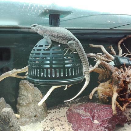 AnimalstoreXL TempProtect II Light M Hittebeschermer