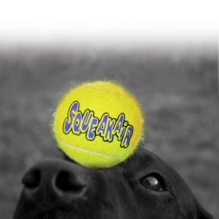 AnimalstoreXL Tennisbal met piep Medium 3 stuks