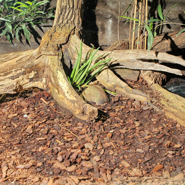 AnimalstoreXL TerraBark M 10-20mm 5 liter Pijnschors