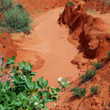 AnimalstoreXL TerraSand natuur-rood 5 liter