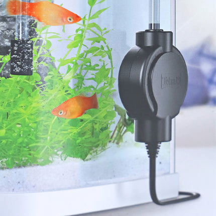 AnimalstoreXL Tetra AirSilent Maxi