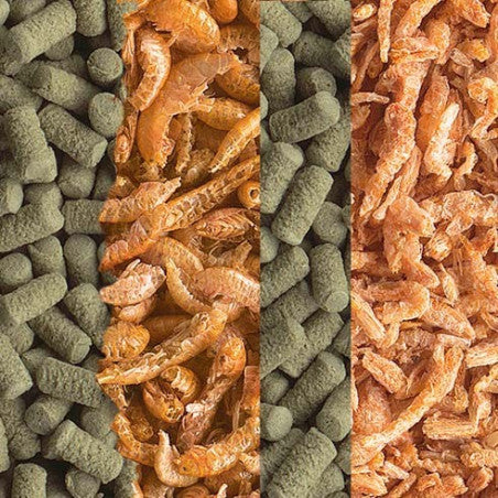 Tetra Reptomin Menü 250ml 6x6x11,7cm