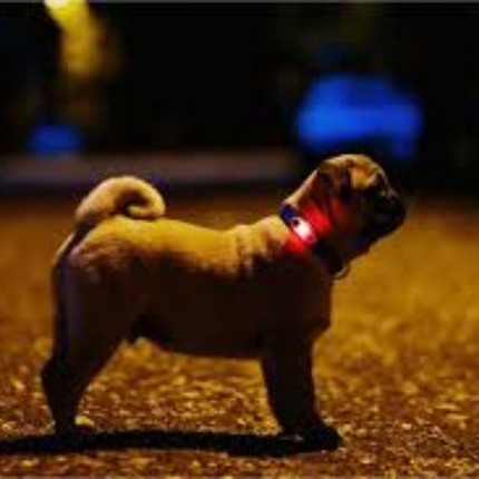 Tickless Teek Vloverjager Mini Hund Schwarz