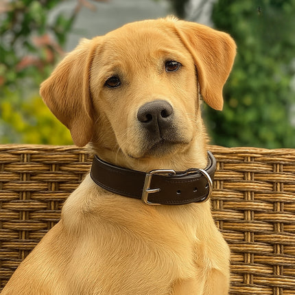 Halsband Rasse Enkel D.Bruin 30mm