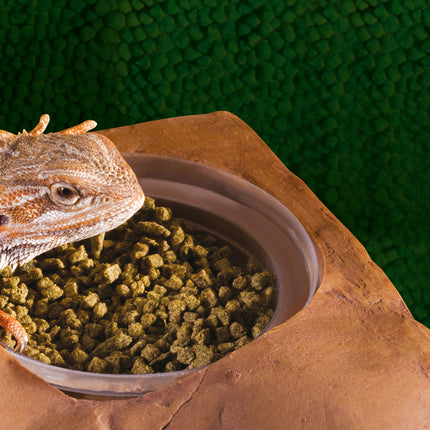 AnimalstoreXL Voerbak Voor Diet Cups