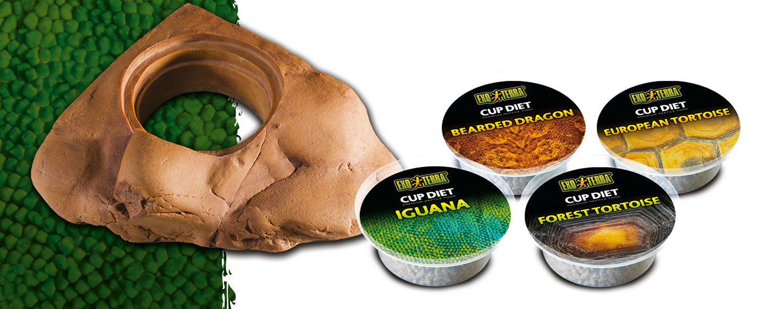 AnimalstoreXL Voerbak Voor Diet Cups