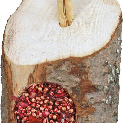 AnimalstoreXL Vogel Speelgoed Middelgroot