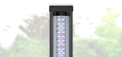 AnimalstoreXL Volga 450 Set