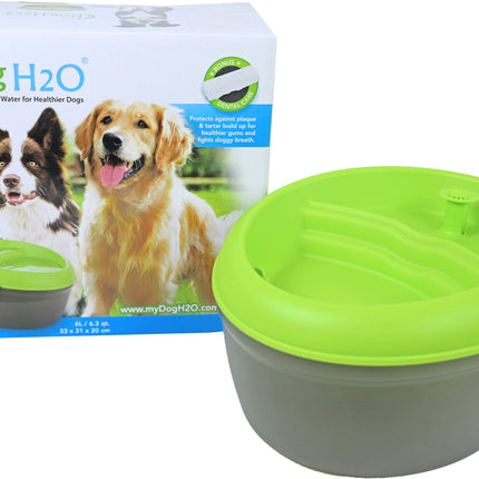AnimalstoreXL Waterbak Hond 6L