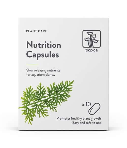 AnimalstoreXL Waterplant Nutrition Capsules 10 stuks
