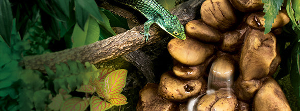 AnimalstoreXL Waterval Kiezel Large Inclusief Pomp