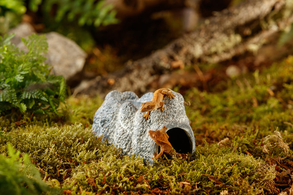 AnimalstoreXL Wet Rock - Keramische Grot Klein