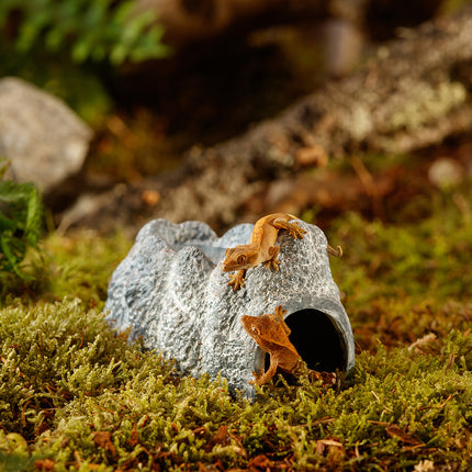 AnimalstoreXL Wet Rock - Keramische Grot Middel