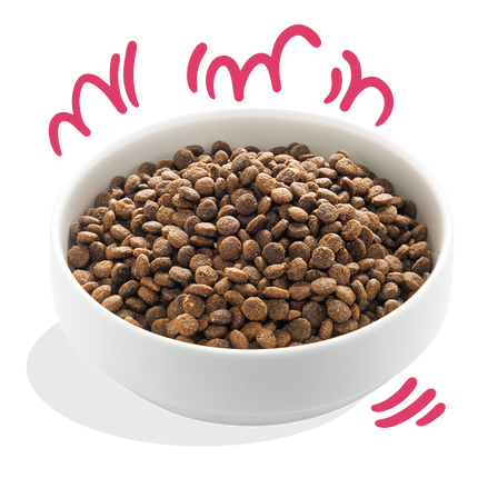 AnimalstoreXL Edgard & Cooper Bio Brok Volwassen Hond Rund & Kip Glutenvrij