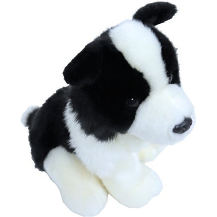 AnimalstoreXL Boony Collie Pluche 20cm