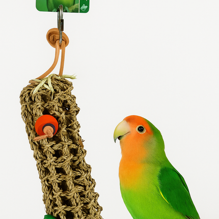 Boon Zeegrashuls mit Kokosfaser 39cm